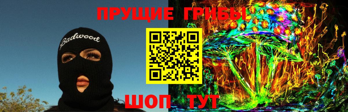 Псилоцибиновые грибы Psilocybe  Псилоцибиновые грибы ЛСД  Вход с VPN  Шали 